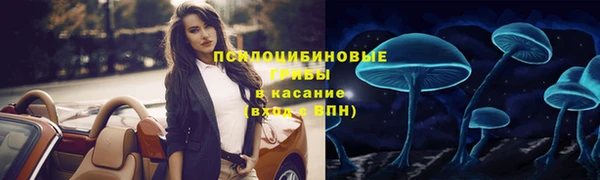 дживик Абаза