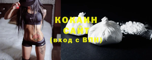 дживик Абаза