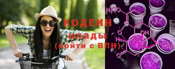 дживик Абаза