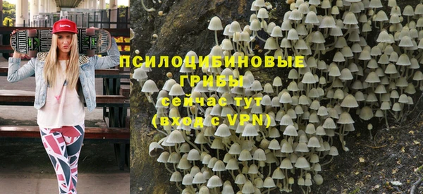 дживик Абаза